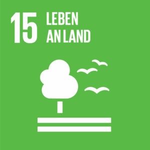 Ziel 15: Leben an Land schützen